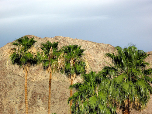 Melanie Heinrich - Travel